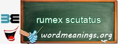 WordMeaning blackboard for rumex scutatus